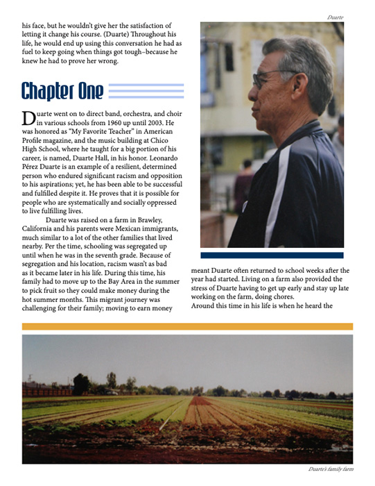 Article by Lulu Duarte